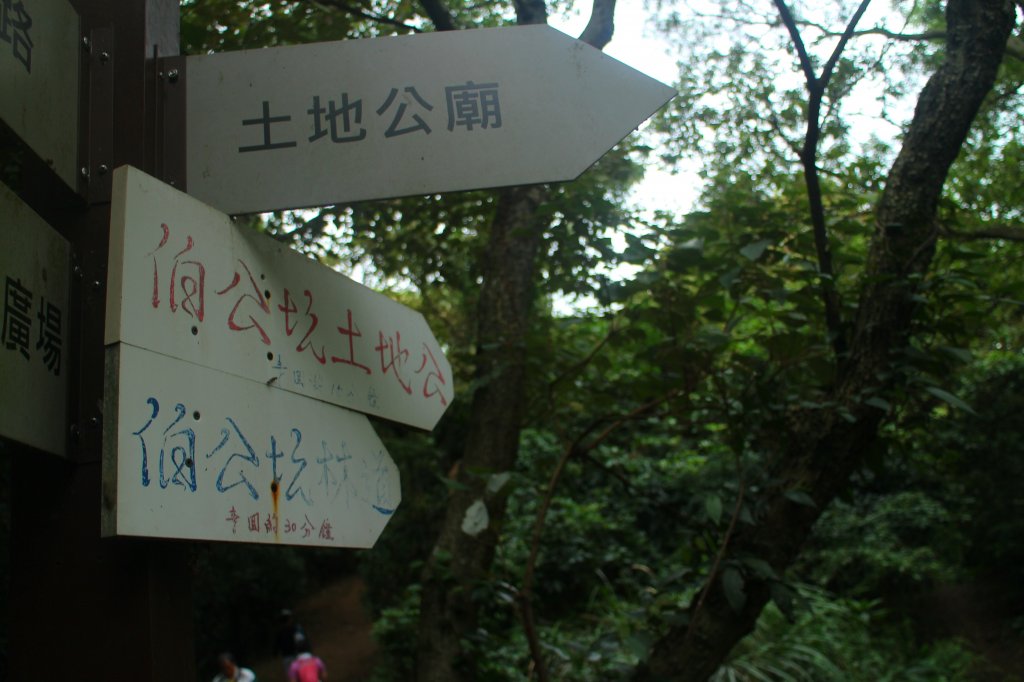 羊(咩咩)稠森林步道 20201018_1145551