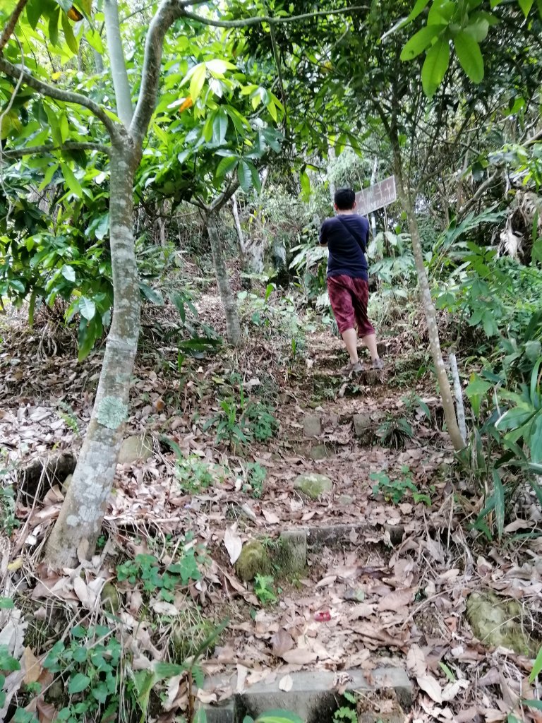 地震後的自然遺跡#47小百岳~九份二山_749731