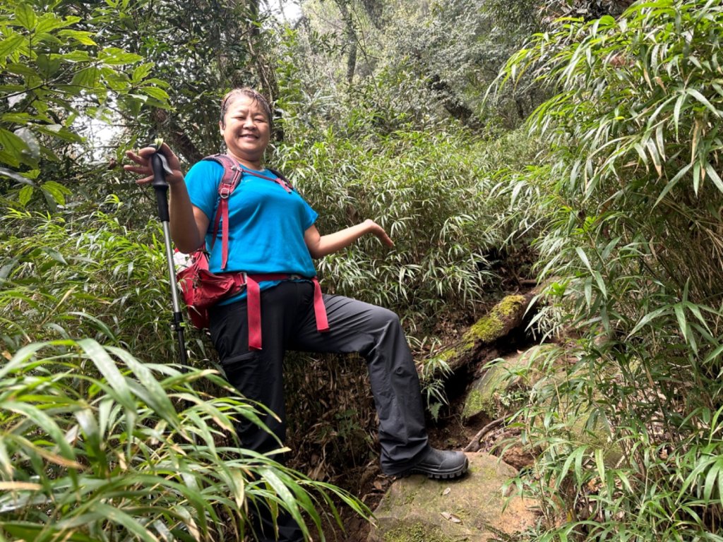 鵝公髻山（小百岳）鵝公髻山東北峰_2449822