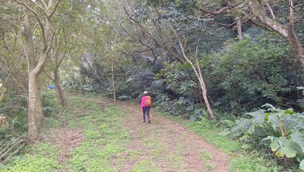 (姨婆趴趴走)第四十七集:新北土城大暖坑山等諸峰攀登連走_2738738