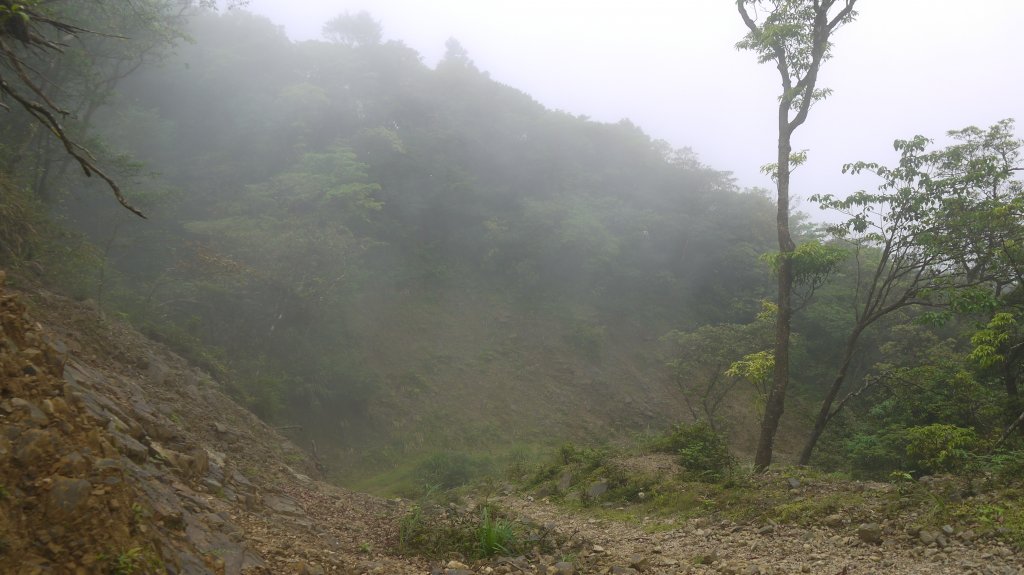 烘爐地山登山健行趣(中級山)_1734456