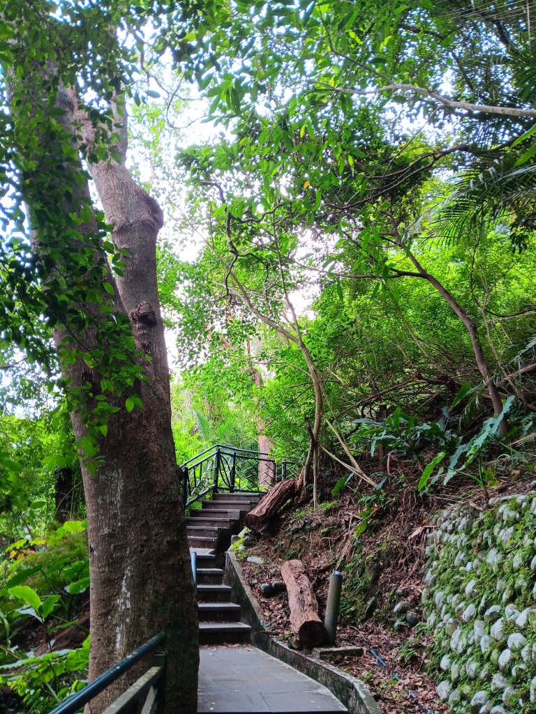 微笑山線和美山螢火蟲段_2986178