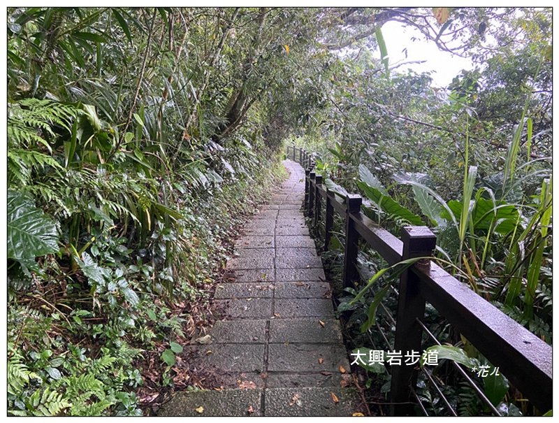 太興岩步道、萬鷺朝鳳、巧雲小棧 (嘉義 梅山)_2886382