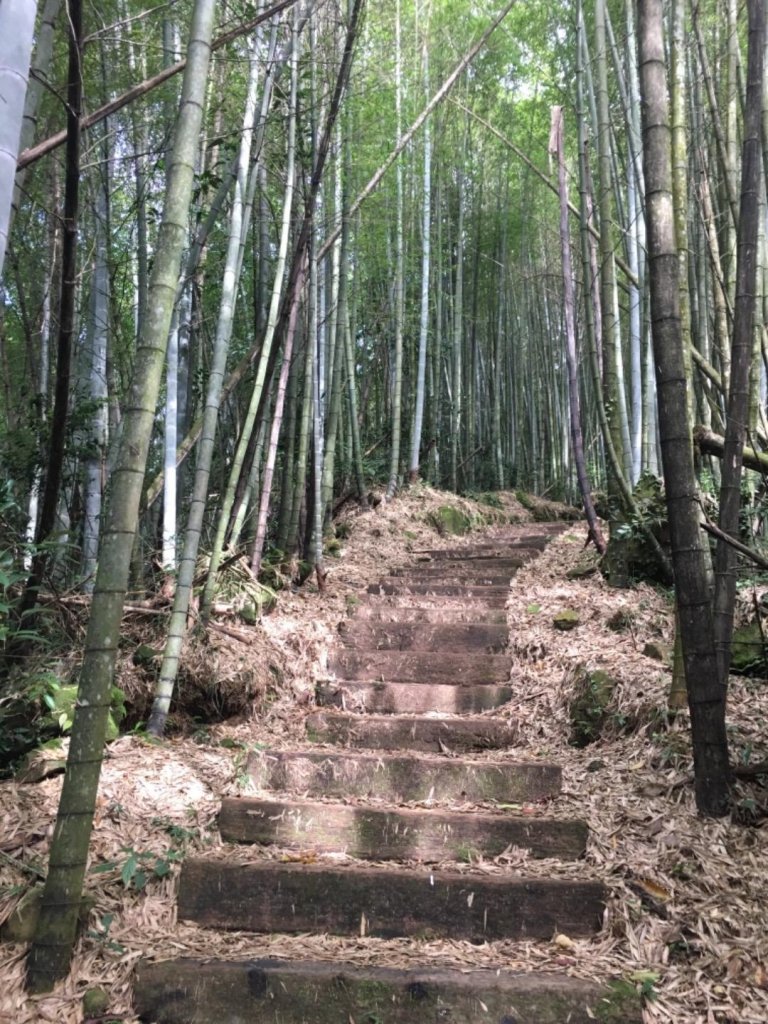 頂石棹步道群_445427