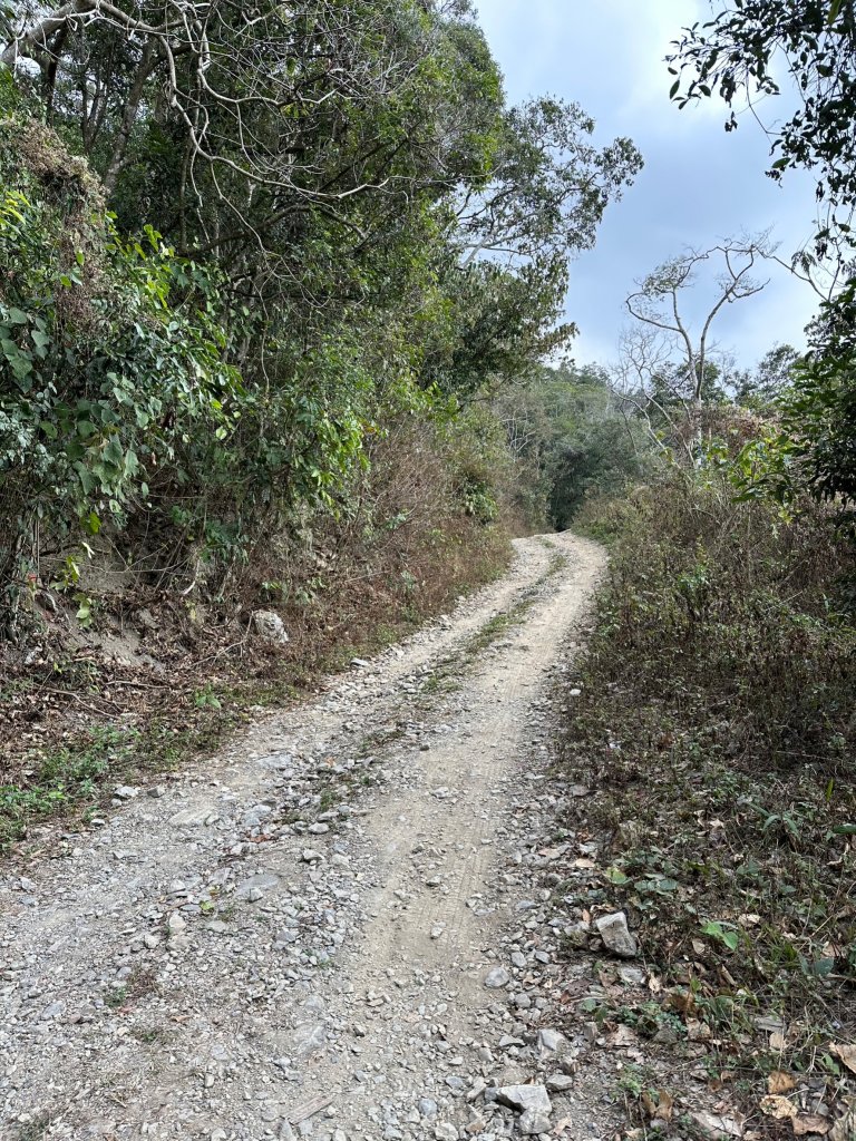 網子山、網子山東北峰、鳴海下山、鳴海山連走_2040646