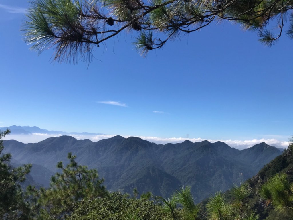 德芙蘭步道上東卯山東稜 O 型_1131864