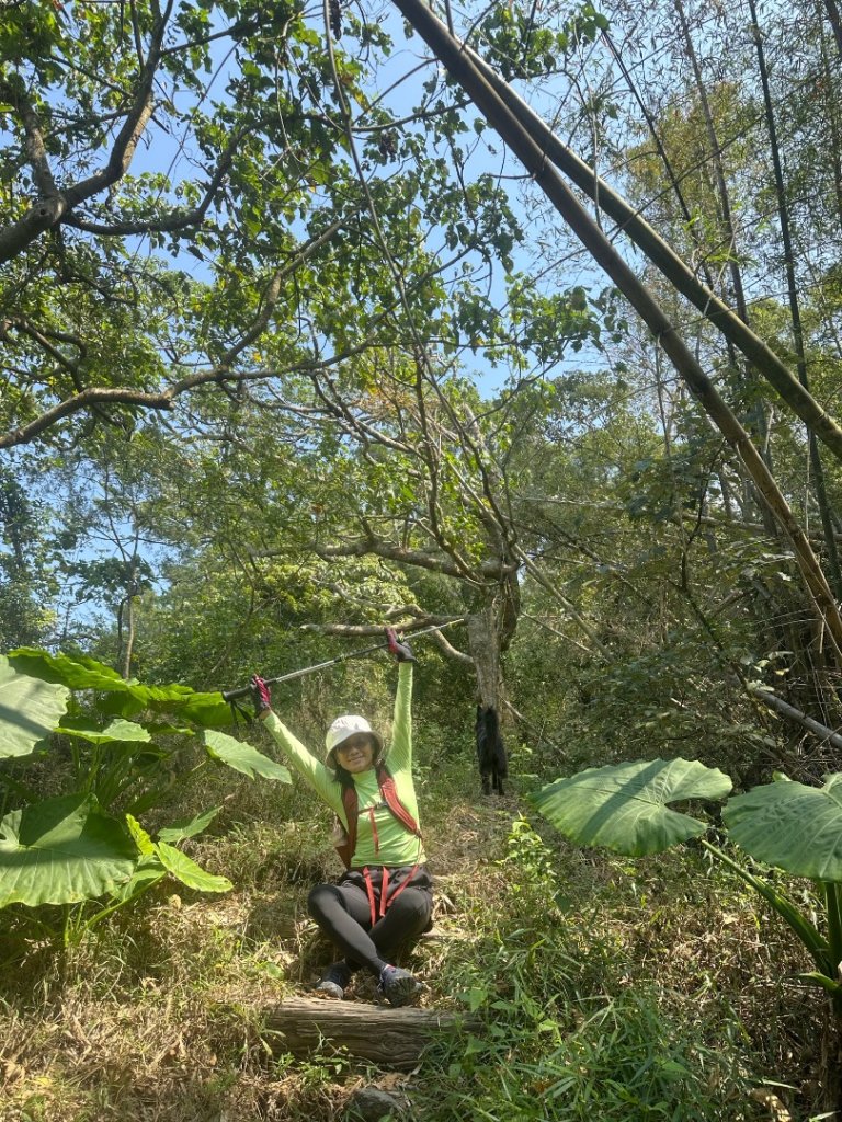 高雄美濃月光山_2734939