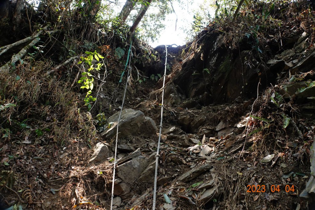 屏東 瑪家、泰武 真笠山、鱈葉根山、日湯真山_2103128