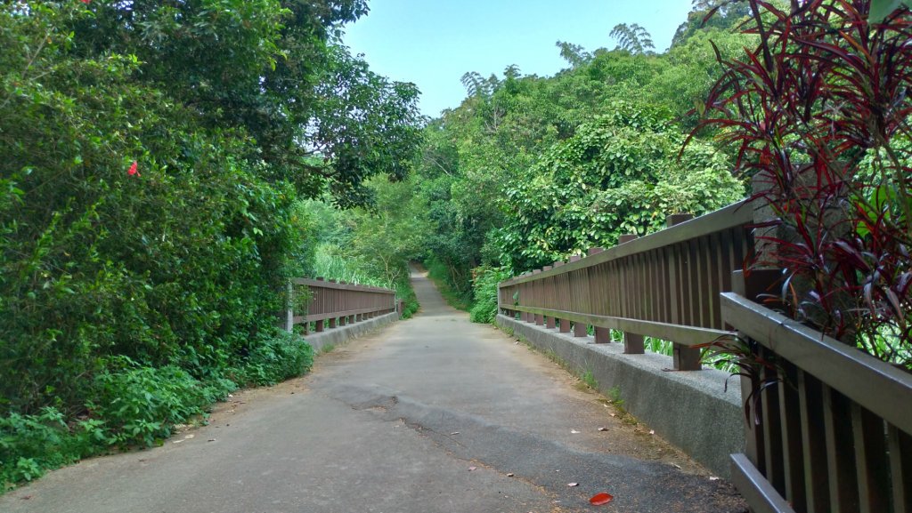 松柏嶺→登廟步道_1061134