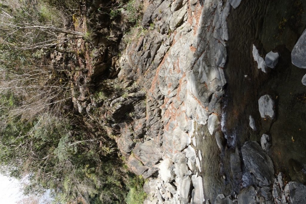探訪消失的白雪村+北霞山東水兒玉山O型縱走_1991362