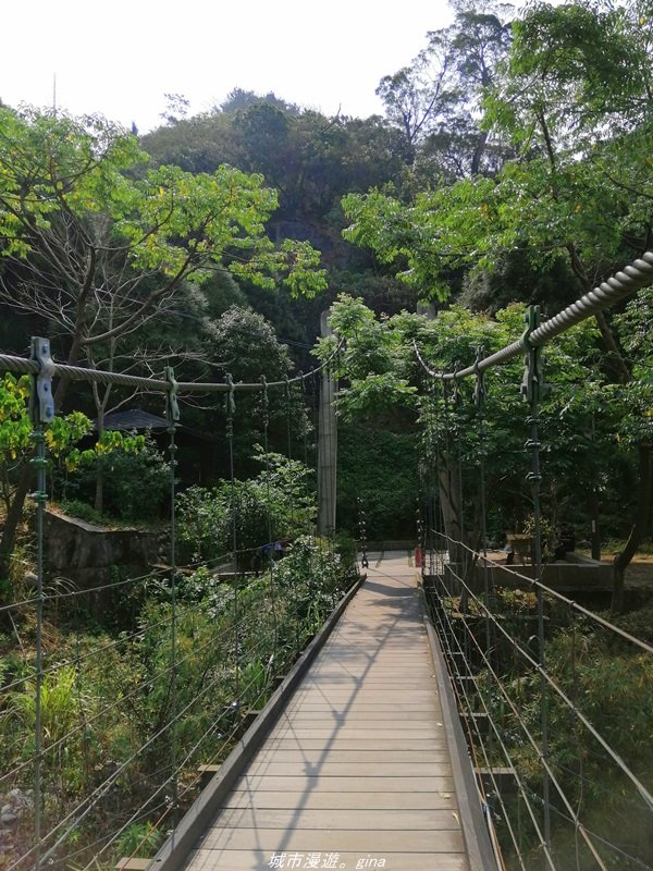 【台中。北屯】台灣百大必訪步道。 大坑四號步道_1338772