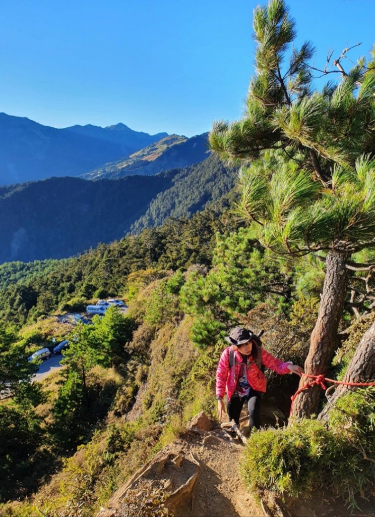 合歡山北峰_1532461