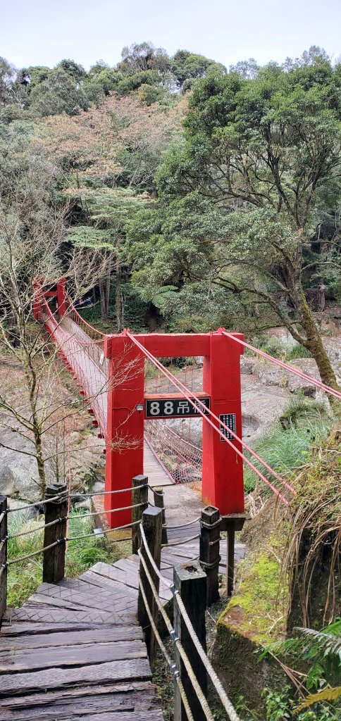 2023-01-01杉林溪青龍蕨類步道(青龍瀑布)、松瀧岩瀑布及天地眼步道_1978854