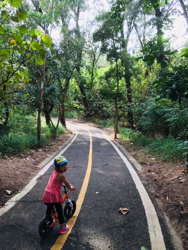190721 貓仔們竹南海濱騎車行_657259