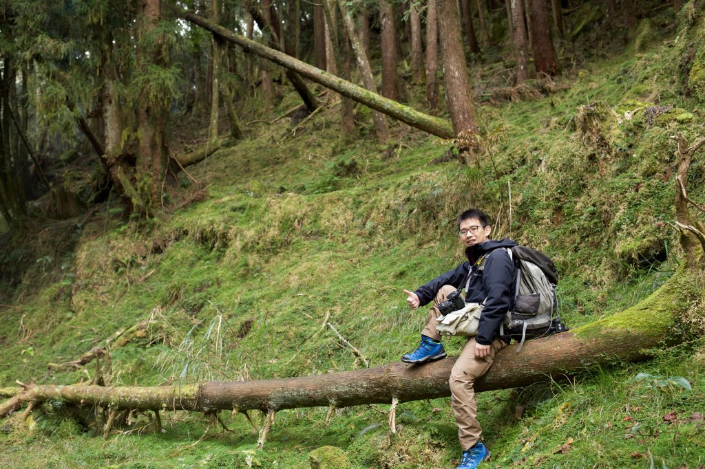 眠月線：久久不能成眠_553749