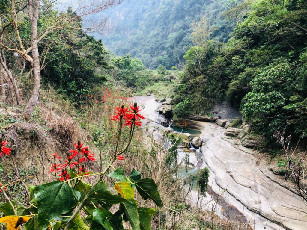 1090313萬年峽谷_879043