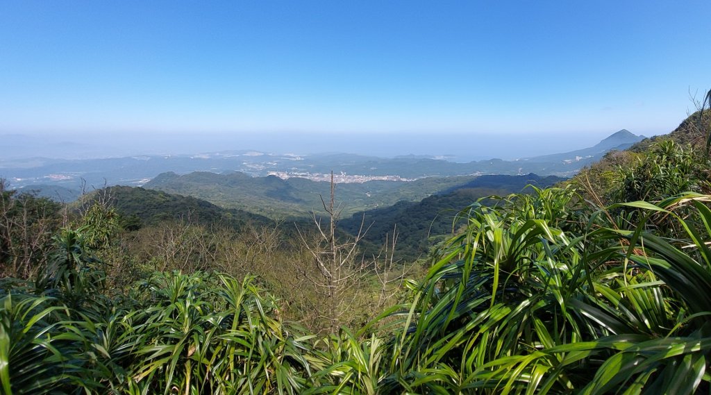 蛇來運轉之蛇年爬蛇山  蛇子形古道-三爪子坑山-蛇子崙山O型_2783983
