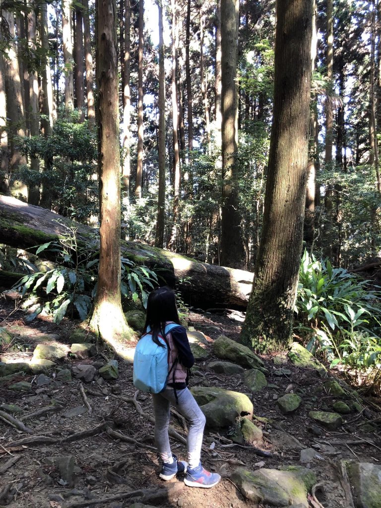 20230208小百岳苗栗加里山_2112949