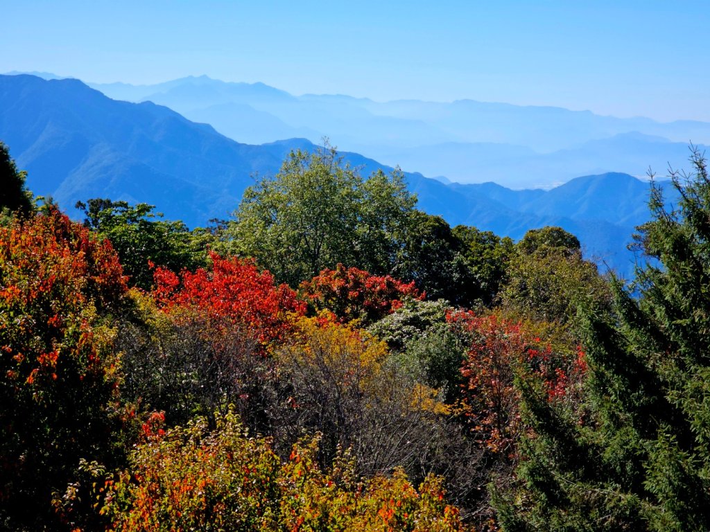 大雪山森林遊樂區賞楓封面圖