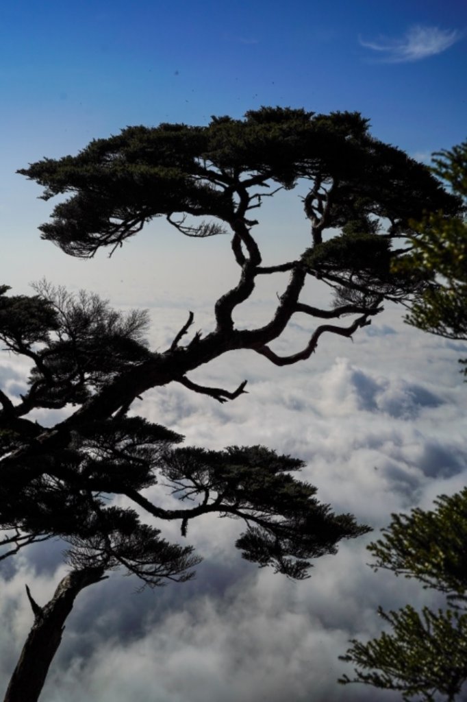 南嶽北大武_554392