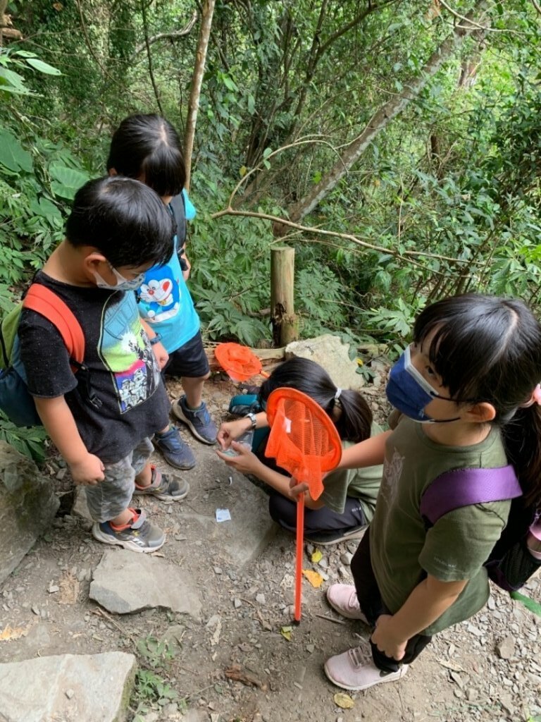 蝴蝶谷瀑布（谷關七雄）_1546077