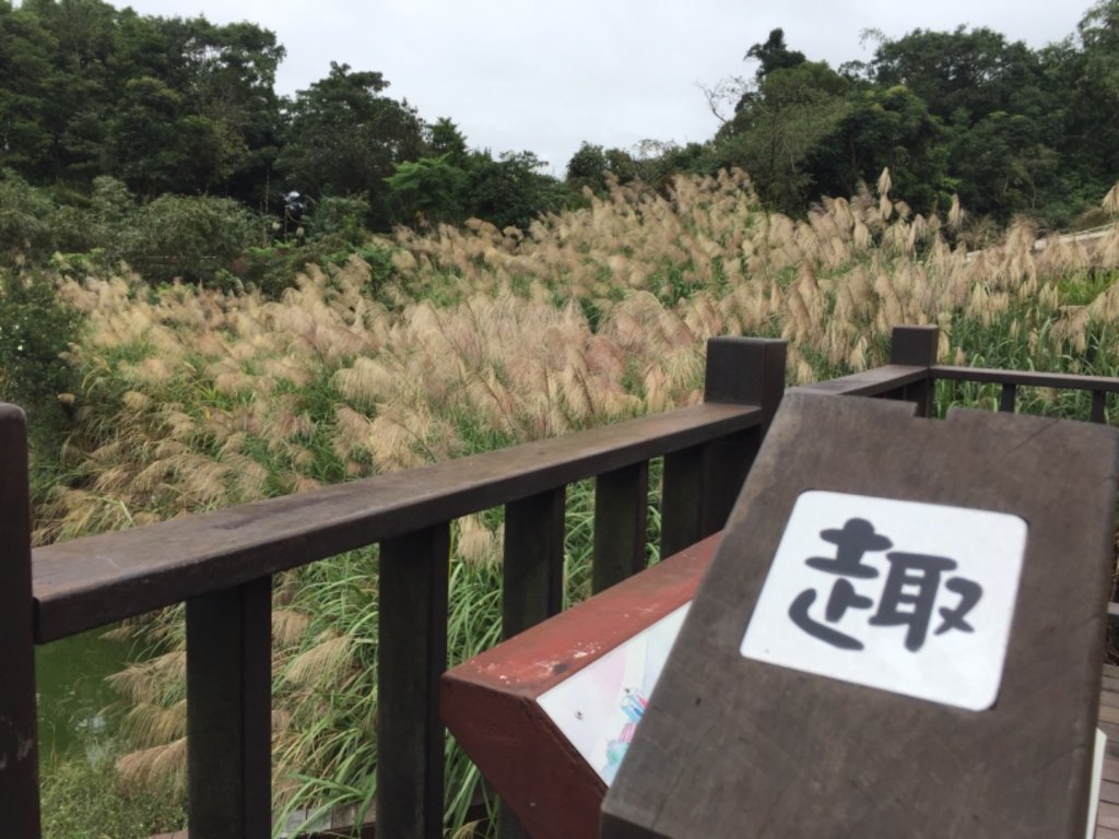 北縱七段抓了10隻博蒂_742201