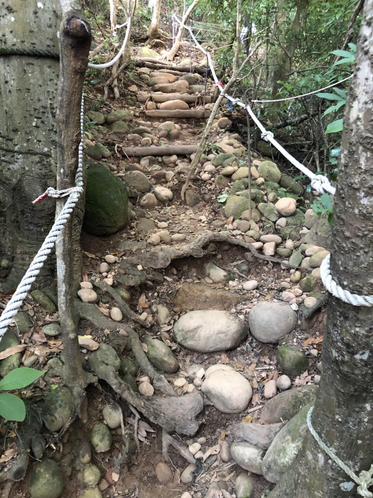 【苗栗三義】火炎山~輕鬆漂亮的小百岳_630363