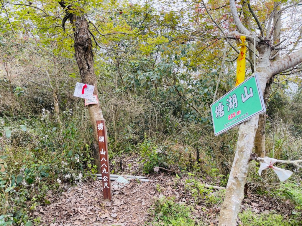 1140226塘湖山-甕缸罈雙O繞_2720876