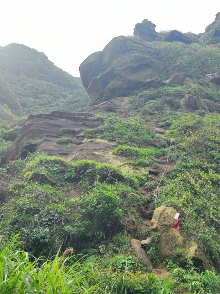 南雅山-門牙岩-鐵達尼岩-海園古道-鼻頭角封面圖