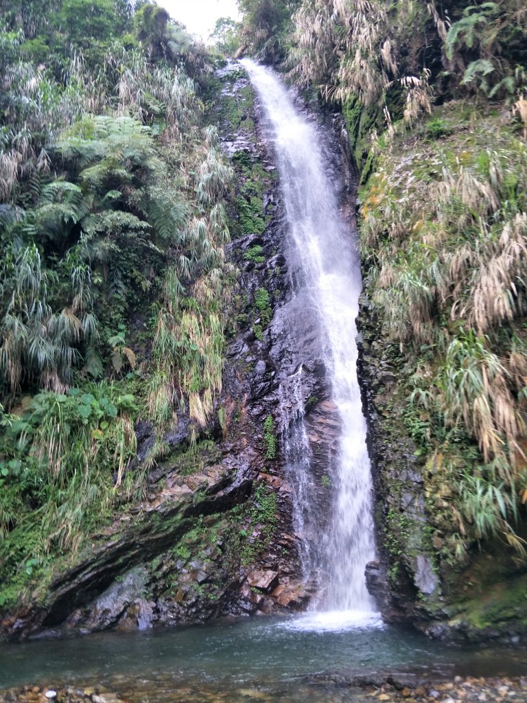 舊小百岳:水社大山_1424330