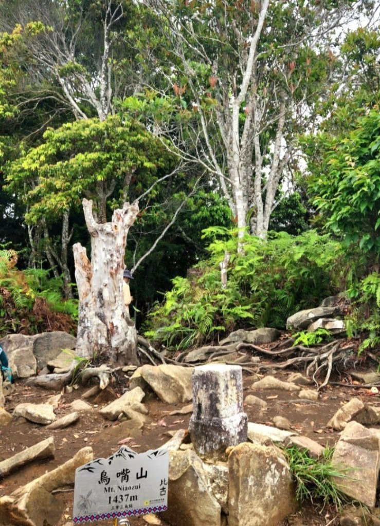 【中級山】水雲三星，鳥嘴山（上島山）_2743363