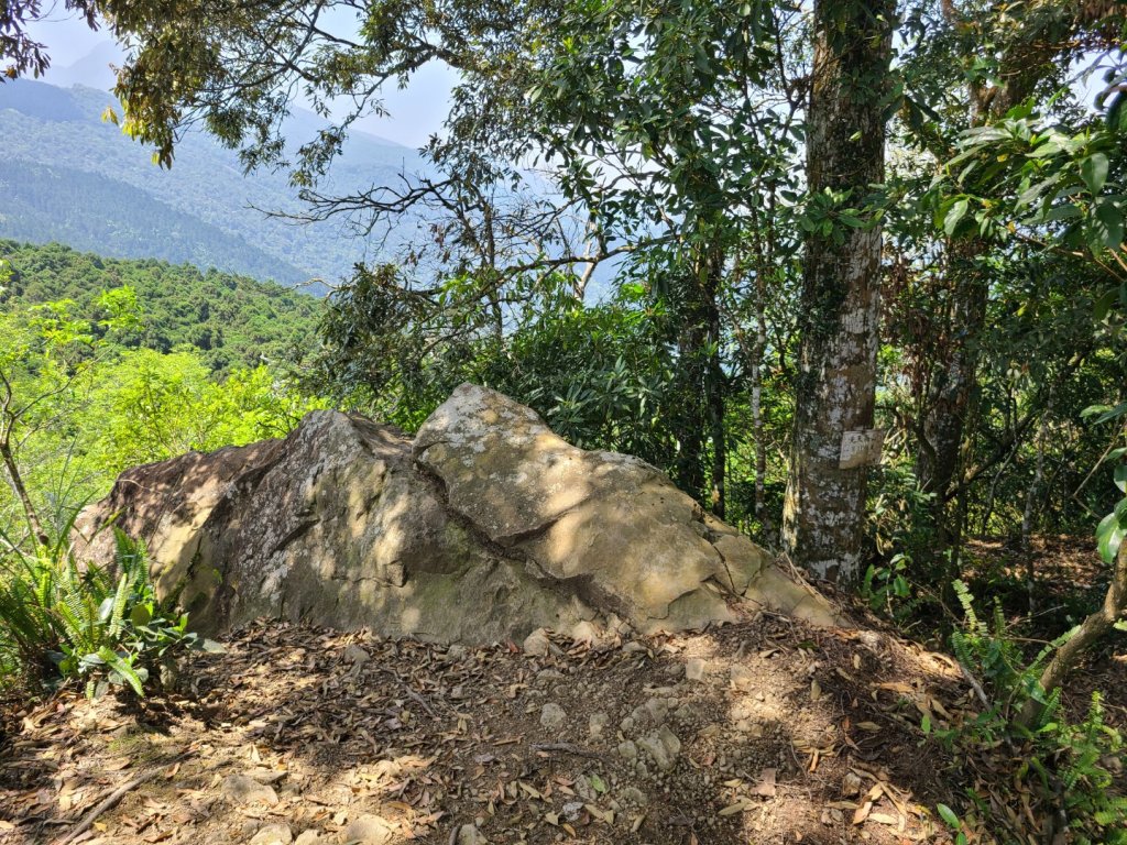 小百岳向天湖山.光天高山.三角湖山O型_2119313