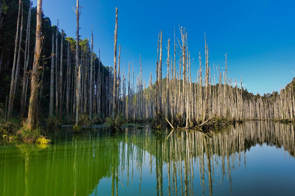水漾森林。鹿屈山O型2018.04.04_306886