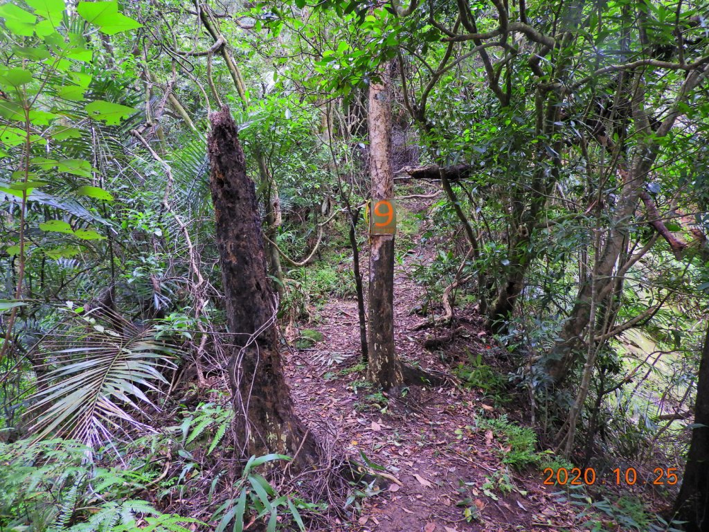 新北 石碇 永定坑山、鳥嘴尖、石霸尖_1143309
