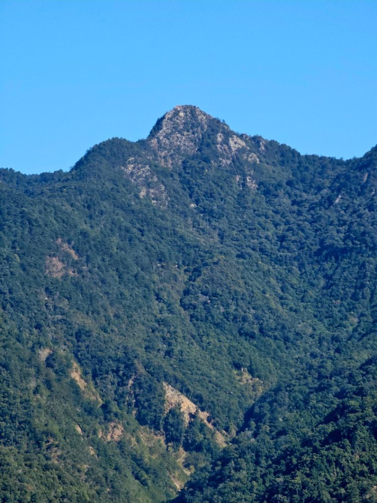 東卯山-谷關七雄(老五)_2991588