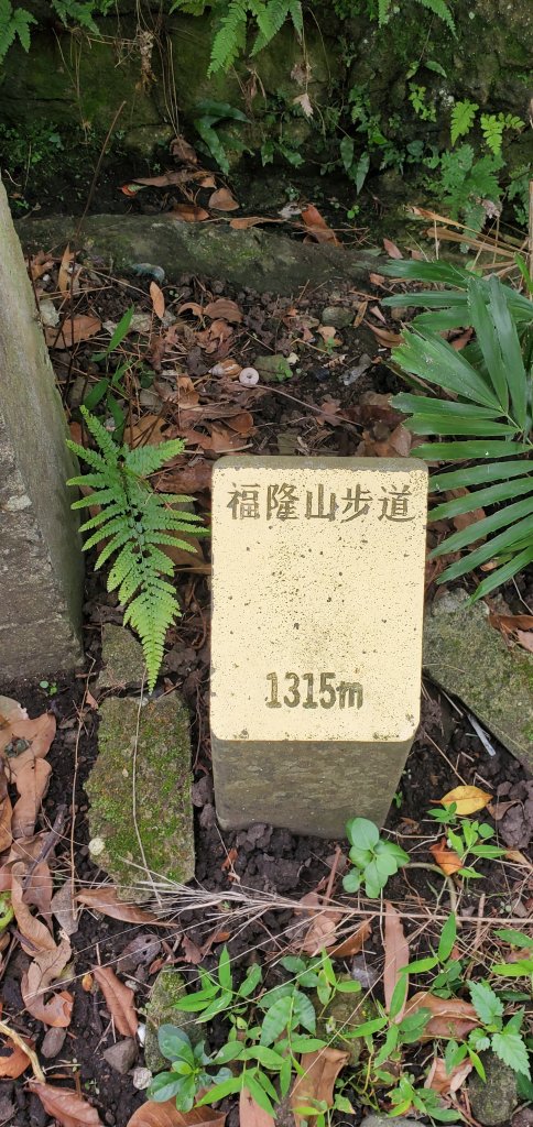 2024-06-15觀音山【福隆山、尖山(占山)登山步道】O走_2528180