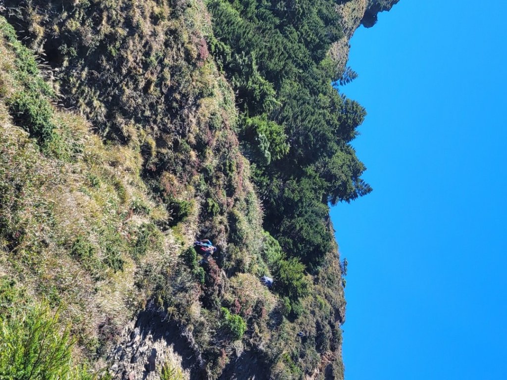 20231103 南一段四天_2355959