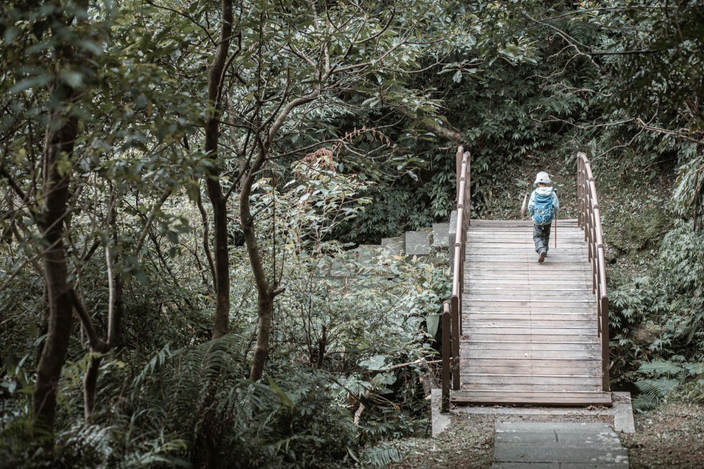 菅芒浪白｜五分山_2356484
