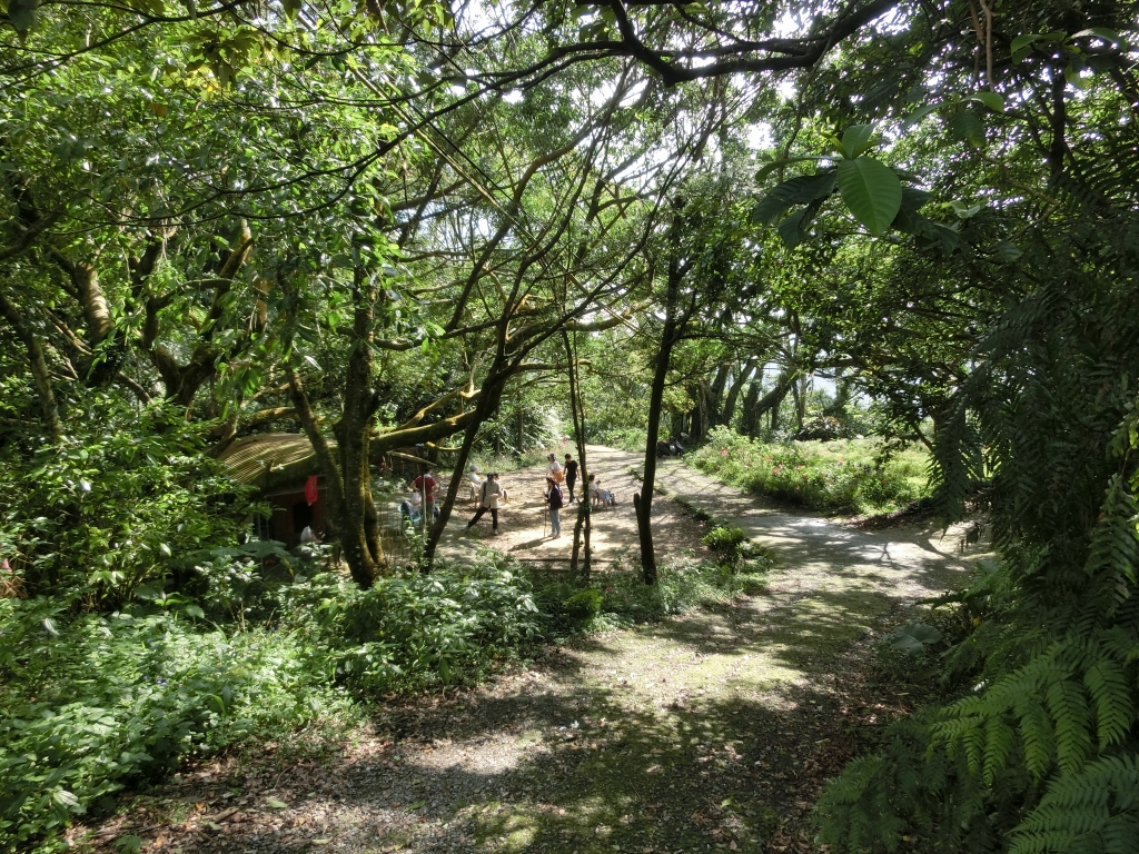 二格山（草湳Ｏ型）_93222