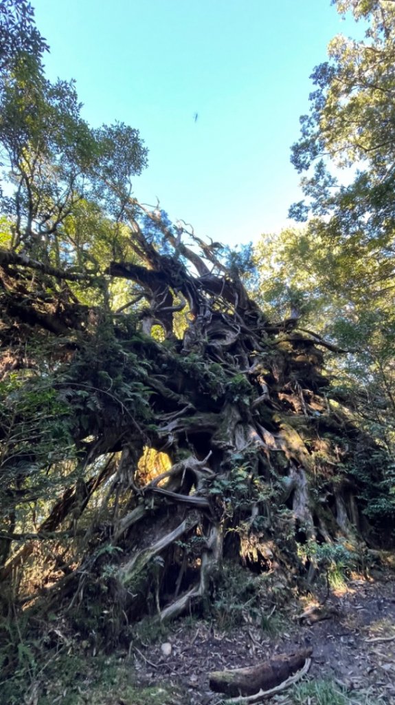 塔魔巴2天1夜來回_2357277