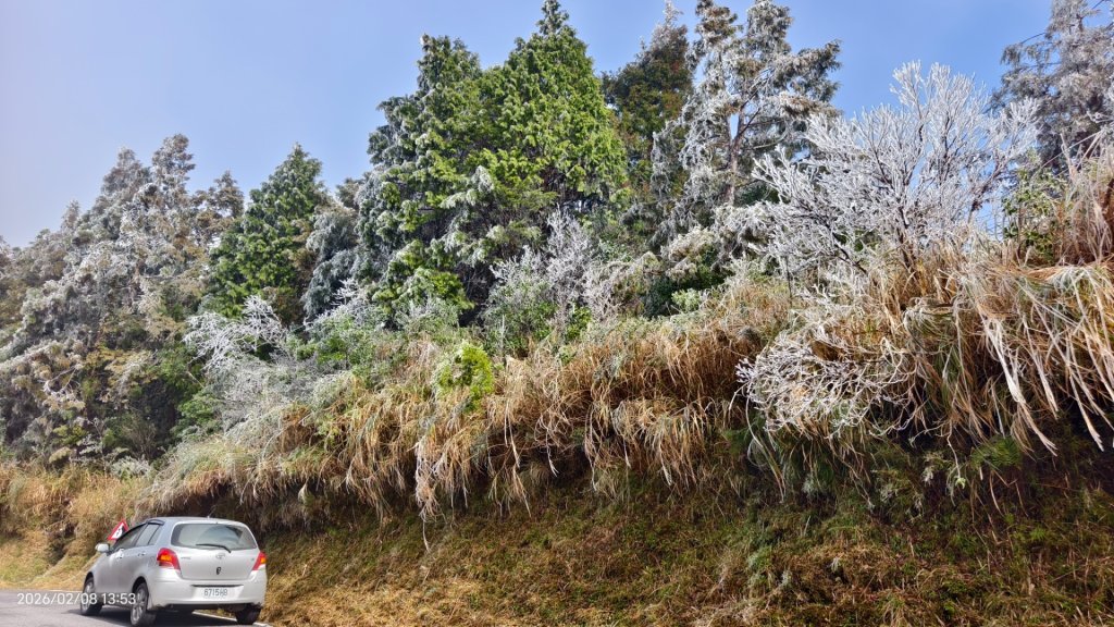 #霧淞 #雲海 #雲瀑 #霧虹 #太平山 #望洋山 #觀雲步道 #翠峰道路  2/8_2995359