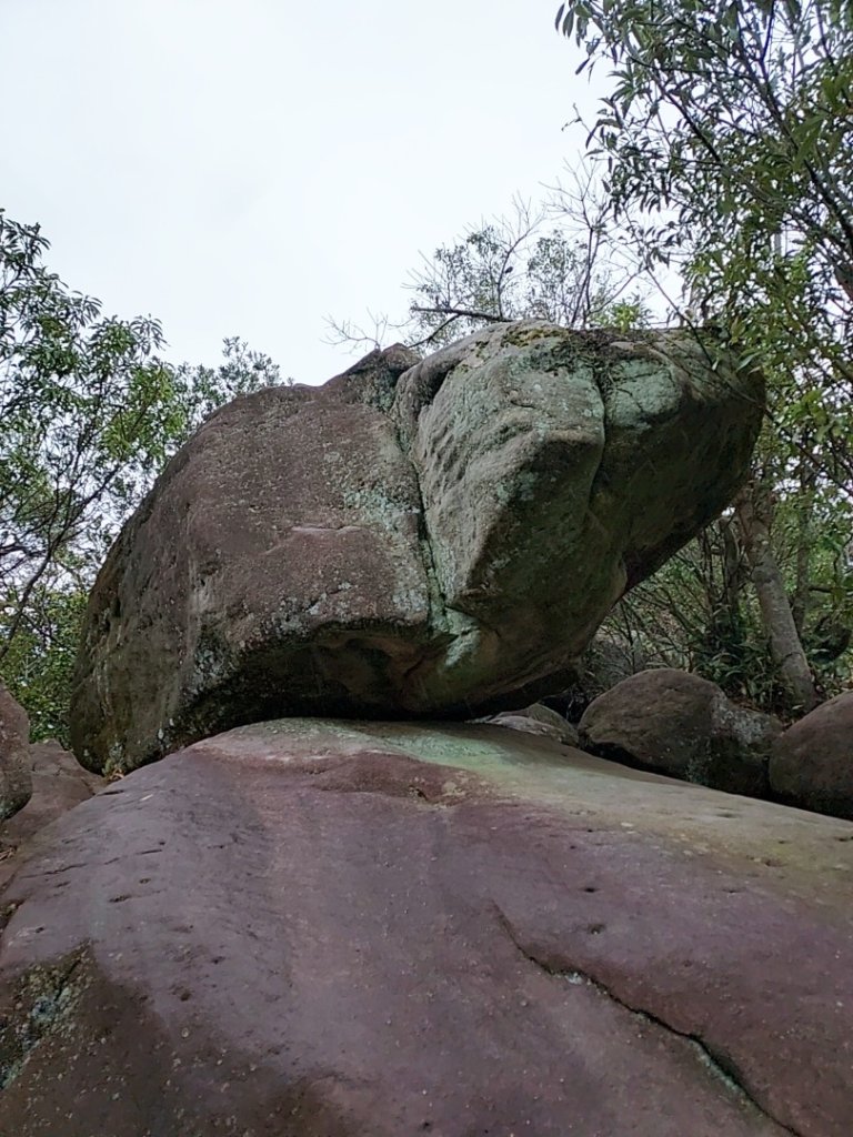 內湖金面山_2447353