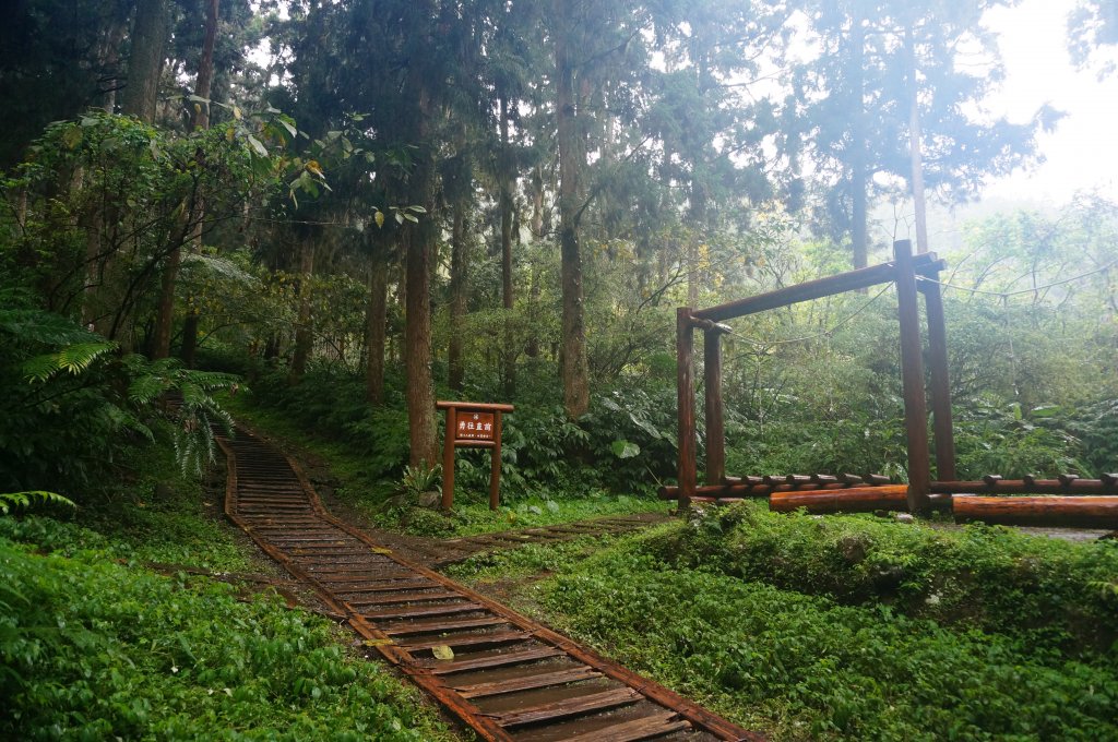 溪頭自然教育園區_2016909