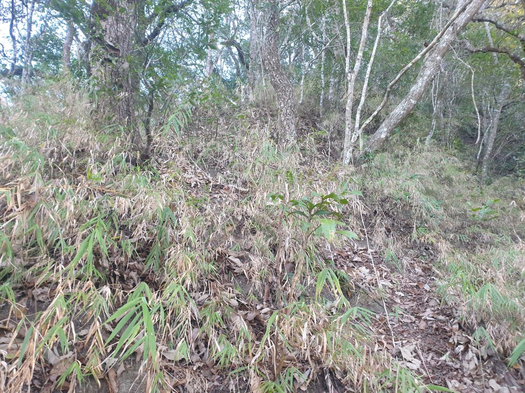 20221211虎山西南峰虎山O型_1979044