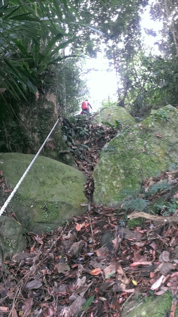 20151226泰安鄉熊佧山_27758