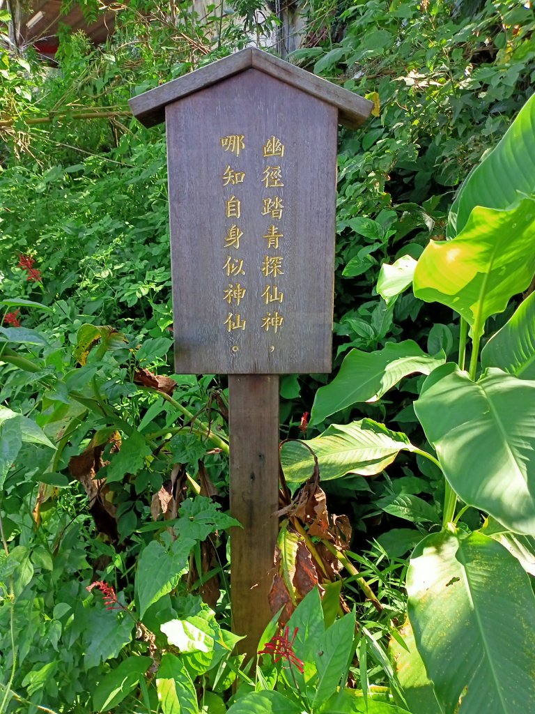 【臺北大縱走 7】(2-1) 政治大學→茶展中心步道_1475408