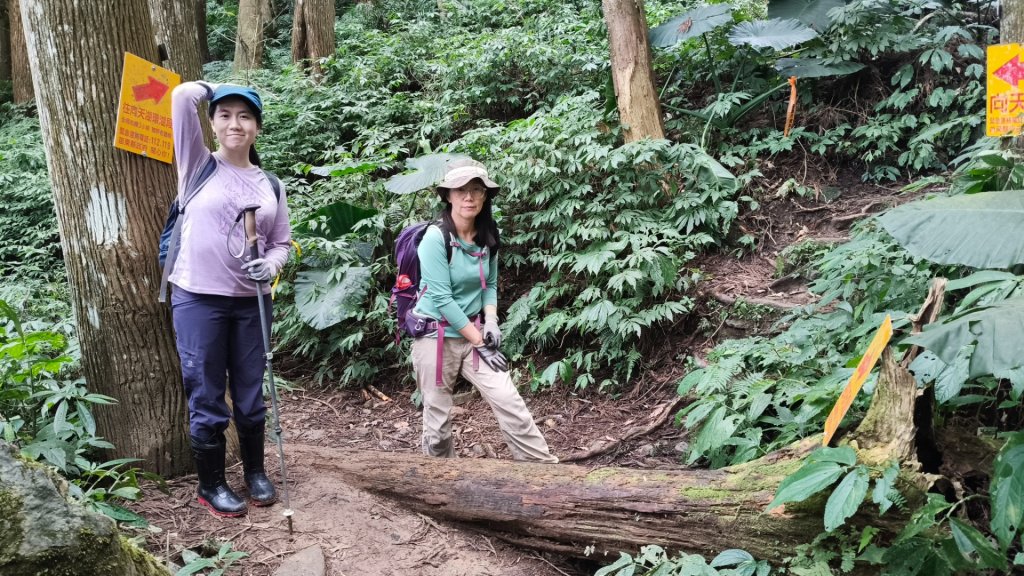 向天湖山1150125_2988160