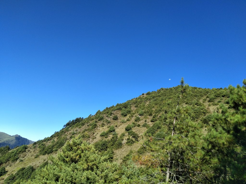一日單攻志佳陽治腳癢_1517382