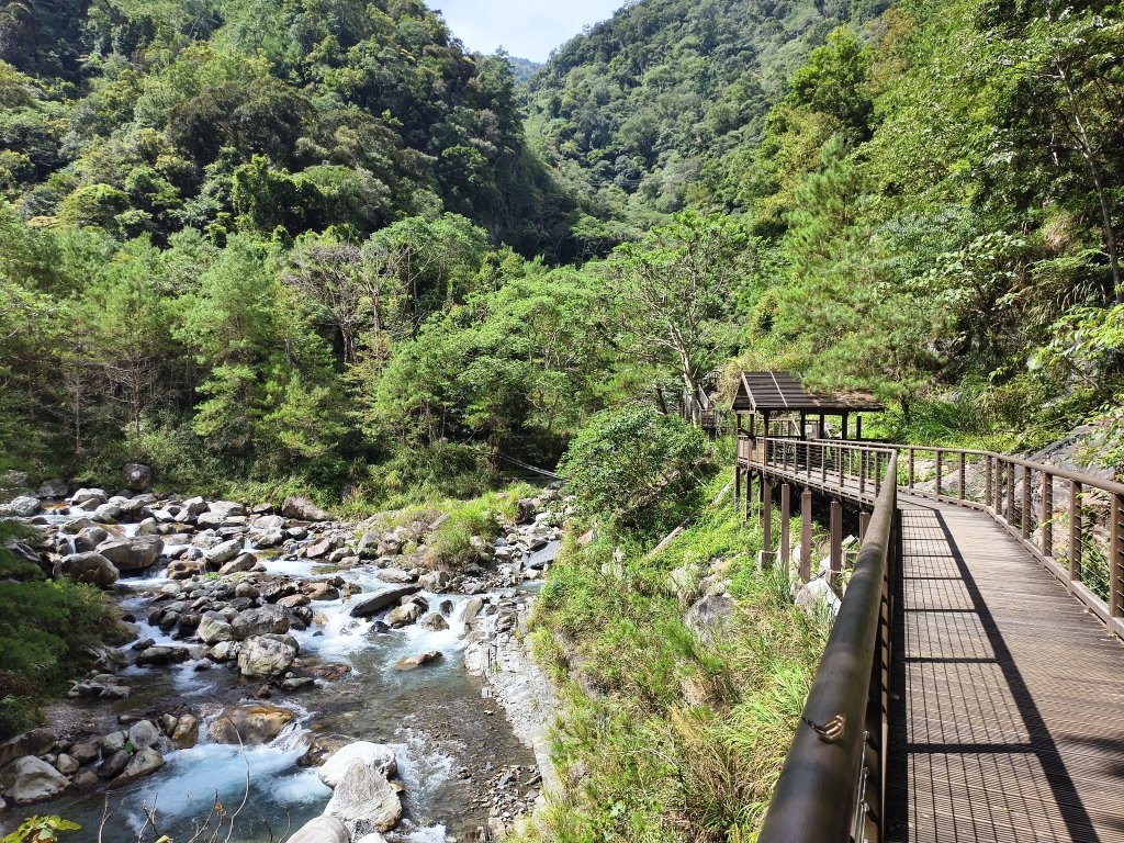 [百山百鳥尋旅-07/15] 2025_0831 八仙山國家森林遊樂區步道群_天籟步道封面圖