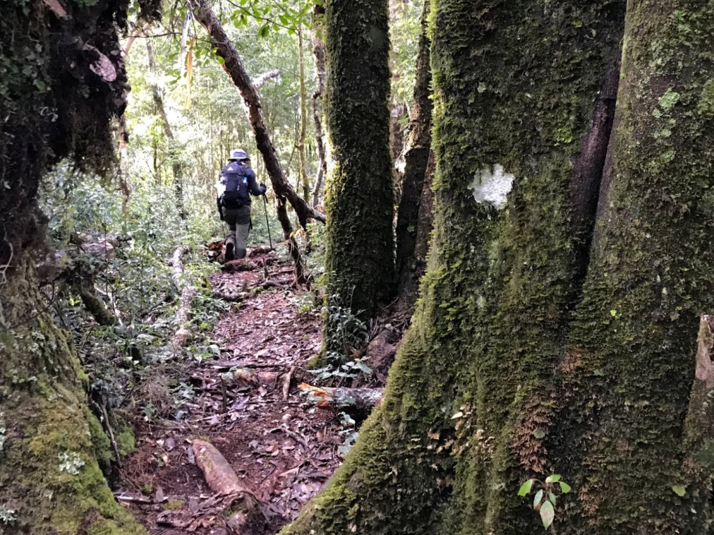 養老山走基那吉山_494218